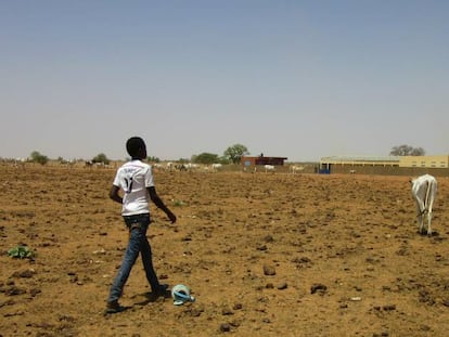 Un joven recupera una vaca perdida en la &aacute;rida regi&oacute;n senegalesa de Namarel.