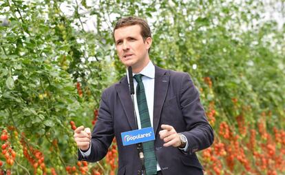 El presidente del PP, Pablo Casado, esta semana en un acto electoral en Almería. 