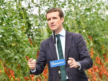 El presidente del PP, Pablo Casado, esta semana en un acto electoral en Almería.