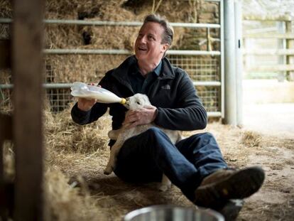 David Cameron alimenta a un cordero en una granja, este domingo en Chadlington.