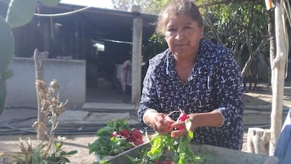 Ramona Luna Mendoza, en una imagen cedida por ella misma.