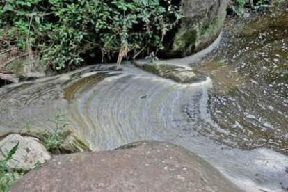 Restos de purines en el torrente de las Paganes, en Esquirol Santa Maria de Corcó.