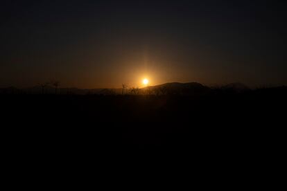 Puesta de sol en la finca murciana El Entredicho. 