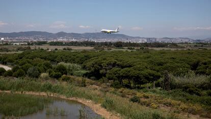 Terrenos del delta del rio Llobregat, al lado del aeropuerto.