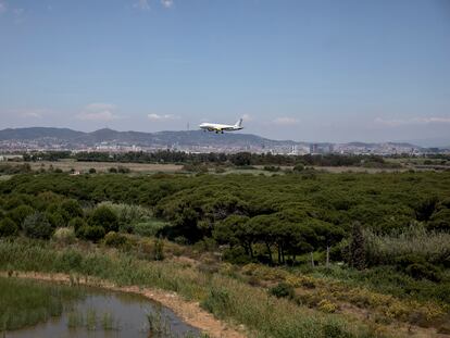 Un avión sobrevuela el delta del río Llobregat, al lado del aeropuerto de El Prat de Barcelona.