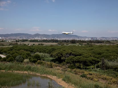 Terrenos del delta del rio Llobregat, al lado del aeropuerto.