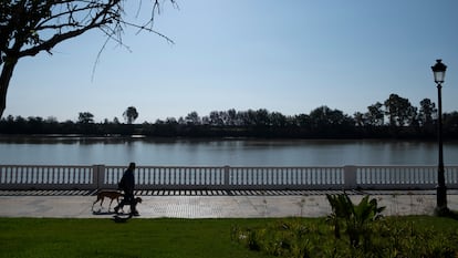 Un hombre camina por el paseo junto al Guadalquivir en la localidad sevillana de Coria del Río.