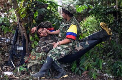 Miembros de las FARC descansan en un campamento, en las montañas de Colombia.