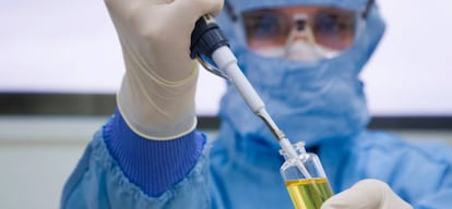 El laboratorio ha conseguido producir la hormona del crecimiento humana a partir de la leche de vacas transgénicas.