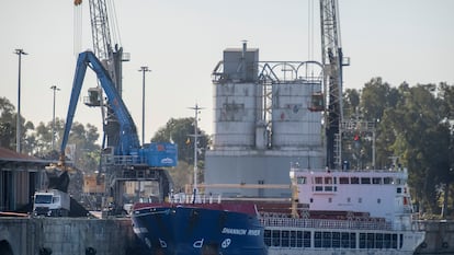 Una grúa descargaba residuos peligrosos procedentes de Montenegro desde el buque 'Shannon River', atracado en el Puerto de Sevilla, el lunes.