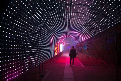 Luces navideñas en el Jardín Botánico de Madrid.