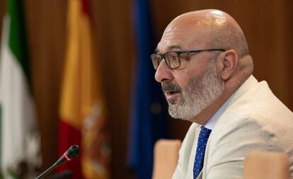 Alejandro Hernández, portavoz del grupo parlamentario de Vox en Andalucía, este miércoles.