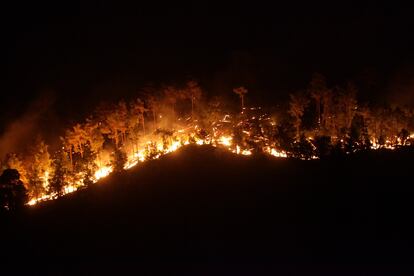 Las llamas provocadas por el incendo queman los bosques de la isla de Rodas (Grecia), este domingo. 