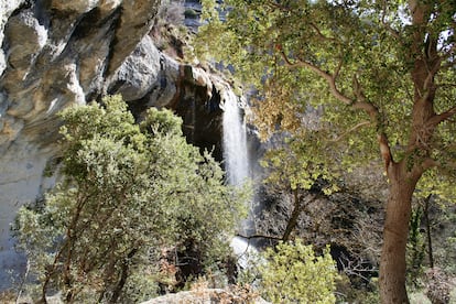 La cascada de La Mea, tras un intrincado paseo desde la carretera, impone con sus más de 30 metros de caída de agua.