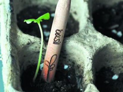 Lápiz, de la empresa Sprout, con semillas en su interior, que se planta una vez usado.