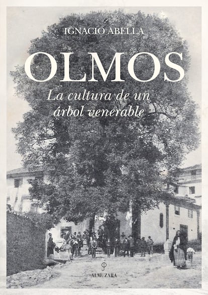 Portada de 'Olmos', de Ignacio Abella. EDITORIAL ALMUZARA LIBROS