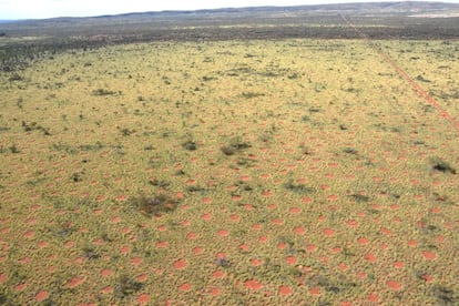 Centenares de c&iacute;rculos han sido descubiertos en el desierto del estado de Australia Occidental.