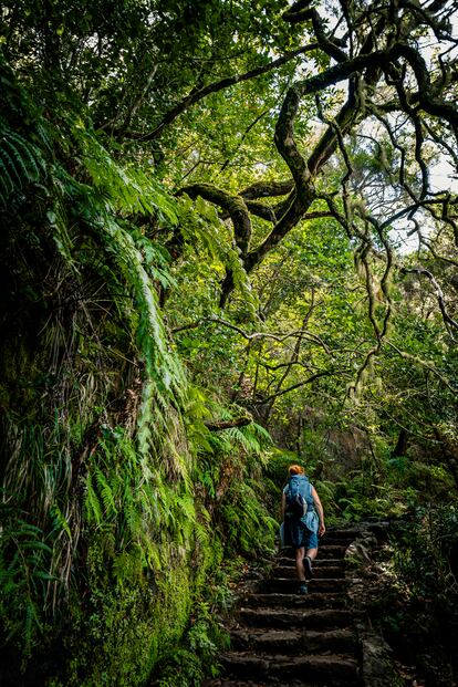 Un tramo de la 'levada' das 25 Fontes, cerca de Rabaçal, en Madeira. 