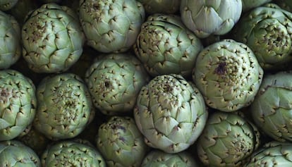 La carxofa, una flor amb moltes fulles