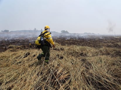 bombero trabaja en el incendio en la provincia argentina de Corrientes