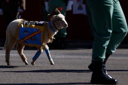 Un carnero, mascota de la Legión, acompaña a los efectivos de la fuerza militar durante el desfile del Día de la Fiesta Nacional. 