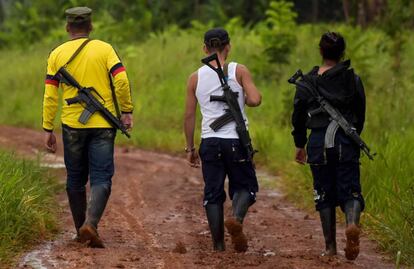 Disidentes de las FARC en Guaviare, Colombia.