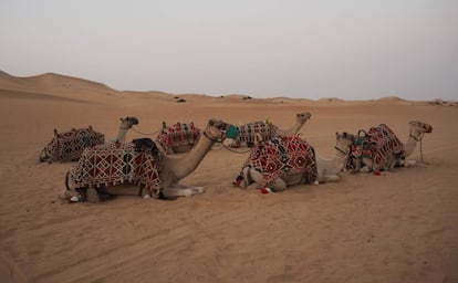 Las excursiones al bonito desierto de dunas se han convertido en un producto turístico.