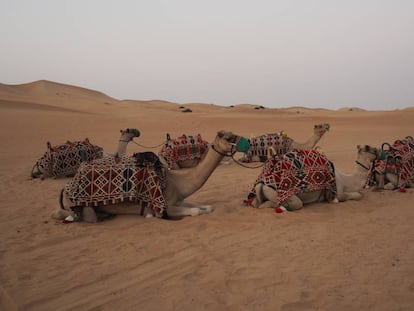 Las excursiones al bonito desierto de dunas se han convertido en un producto turístico.