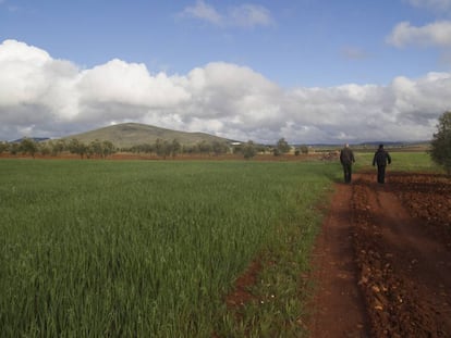 Terrenos de Campos de Montiel (Ciudad Real) donde estaba prevista la mina de tierras raras. 