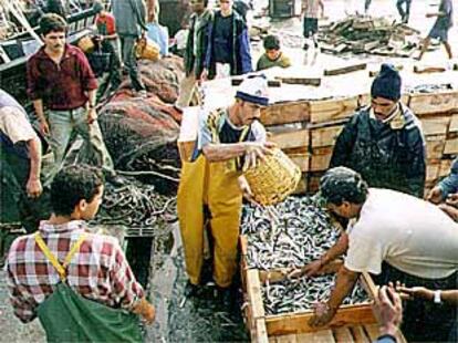 Descarga de pescado en el puerto de Agadir, en marzo de 2000.