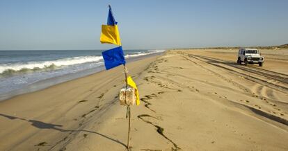 Una de las playas de Matalascañas en el Parque Natural de Doñana.