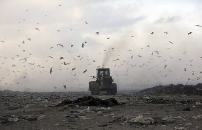 Pájaros vuelan sobre una excavadora mientras trabaja en un vertedero, a las afueras de la ciudad de Gaza (Franja de Gaza).