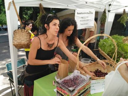 Mercado de agricultores ecol&oacute;gicos en Madrid.