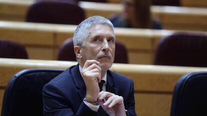 El ministro del Interior, Fernando Grande-Marlaska, durante la sesión del control al Gobierno celebrada este martes en el Senado.