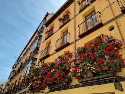 Las plantas traen alegría a los balcones.