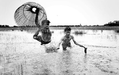 'Pesca con red en los campos'. Dos niños pescan con sus redes tras la cosecha de arroz, cuando el agua del río llena los arrozales.