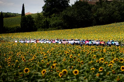 Etapa 14 entre Carcassonne y Quillan (Tour, 2021).