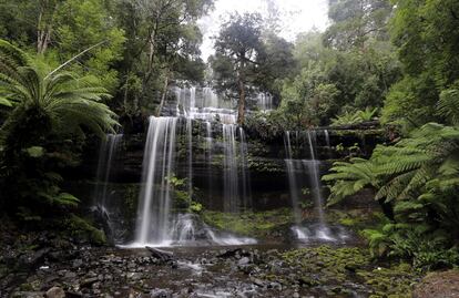 Fotografia facilitada hoy de la catarata Russell Falls en el parque nacional de Mt. Field en Tasmania (Australia) el 21 de mayo de 2014. El Gobierno austaliano intenta que 74,000 hectáreas de la zona forestal declarada Patrimonio de la Humanidad dejen de estar protegidas para poder ser explotadas.