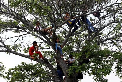 Un grupo de personas ven el espectáculo 'Venezuela Aid Live' sobre la copa de un árbol en el puente transfronterizo Tienditas, entre Colombia y Venezuela.