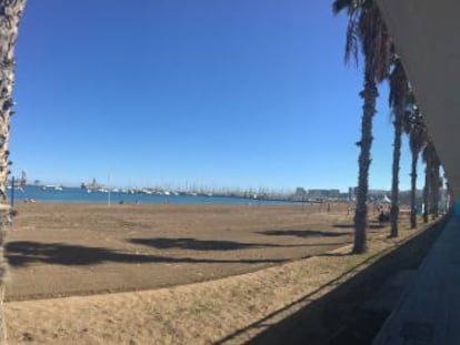 Marine Park: Canarias vuelve a mirar hacia el mar