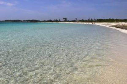 The beach of Es Caragol, in Mallorca.