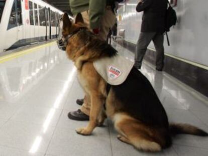 Dos perros custodiados por vigilantes de seguridad en el Metro.