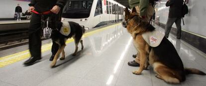 Dos perros custodiados por vigilantes de seguridad en el Metro.