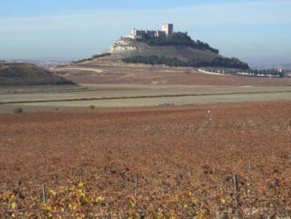 Desde los vi&ntilde;edos de Pago de Carraovejas se puede ver el castillo de Pe&ntilde;afiel (Valladolid), que domina el valle del Duero. 