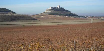 Desde los viñedos de Pago de Carraovejas se puede ver el castillo de Peñafiel (Valladolid), que domina el valle del Duero.