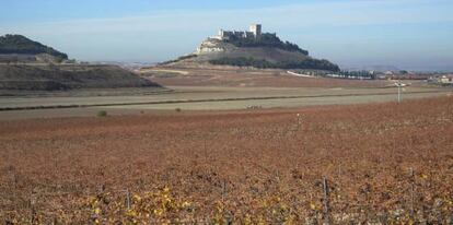 Desde los vi&ntilde;edos de Pago de Carraovejas se puede ver el castillo de Pe&ntilde;afiel (Valladolid), que domina el valle del Duero. 