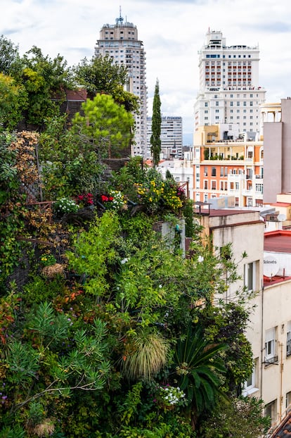 Vista del jardín colgante del hotel Santo Domingo.