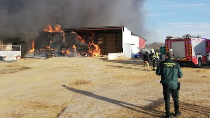 Un incendio en Navarra causa la muerte a 3.000 corderos