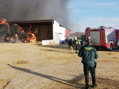 Balas de paja en llamas en la granja incendiada en Artajona (Navarra), donde han perecido 3.000 cabezas ovinas.