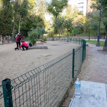 Adolescentes muertas en Jaén